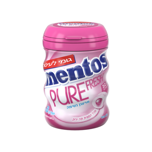 MENTOS GUM PURE FRESH FRUITMINT BOTTLE 6/60g